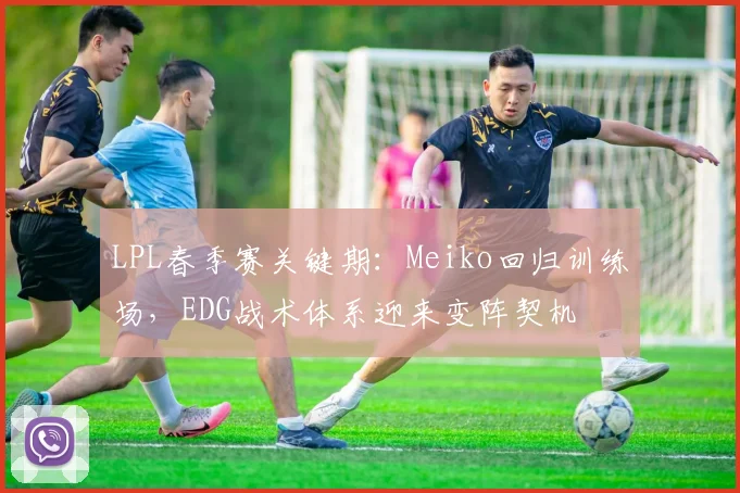 LPL春季赛关键期:Meiko回归训练场,EDG战术体系迎来变阵契机 - 看球通推荐